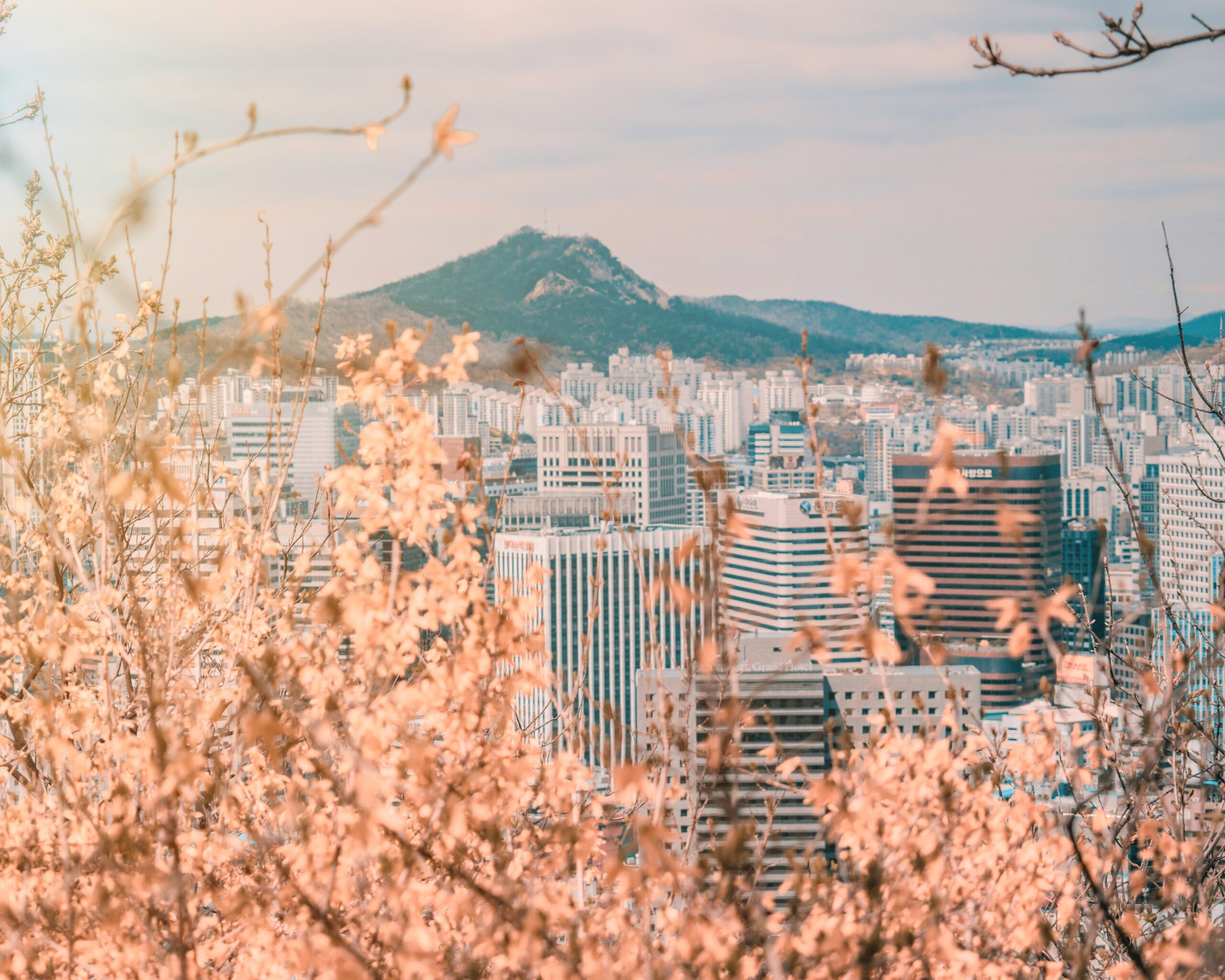 Roof top view over Seoul in spring