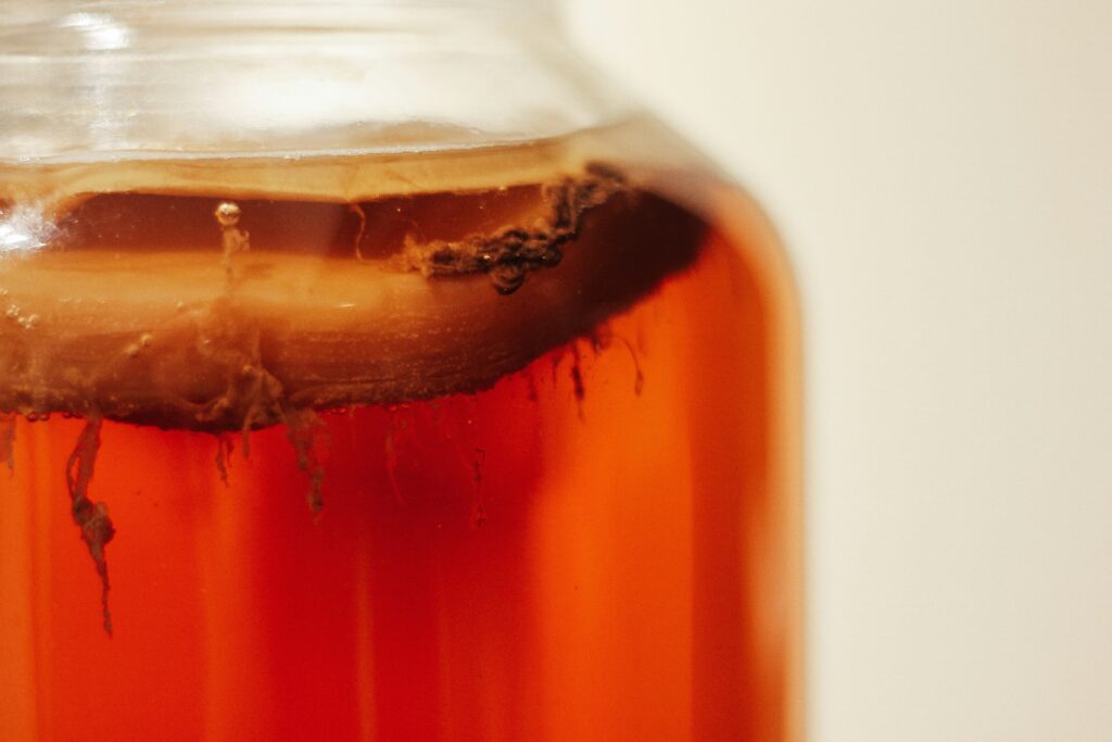 Tea mushroom in a bottle