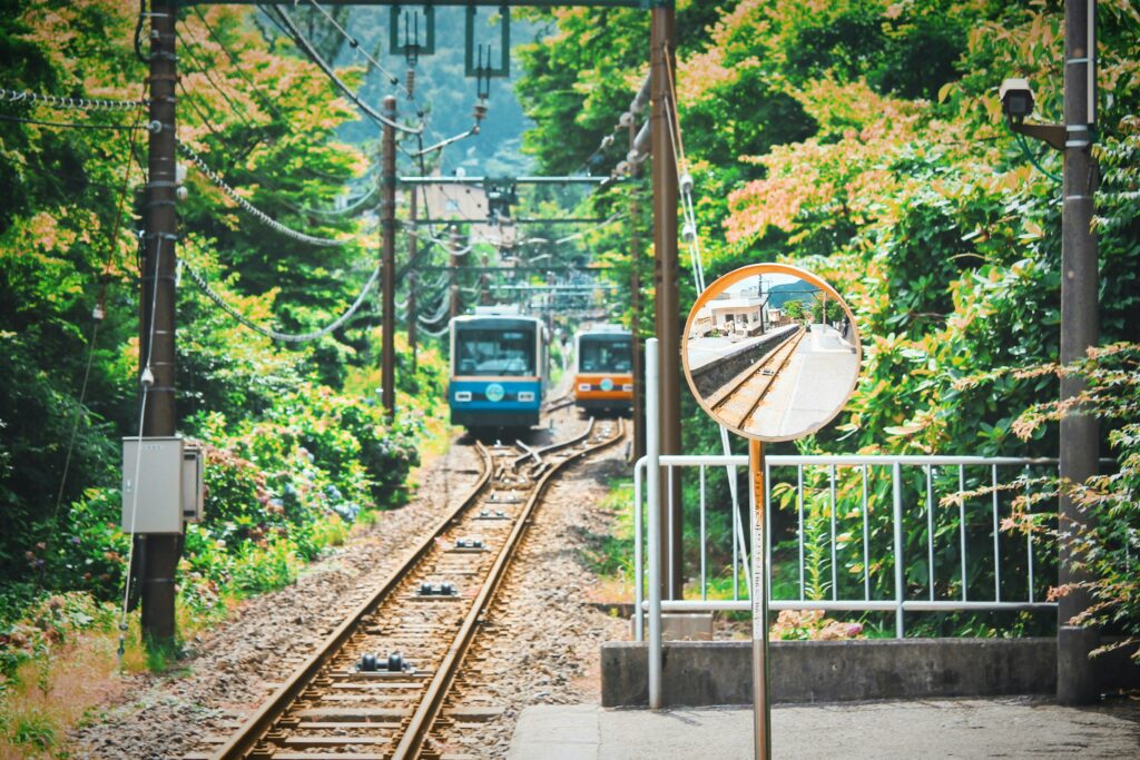 A scenic railway track surrounded by lush green foliage, with two colorful trains approaching from the distance