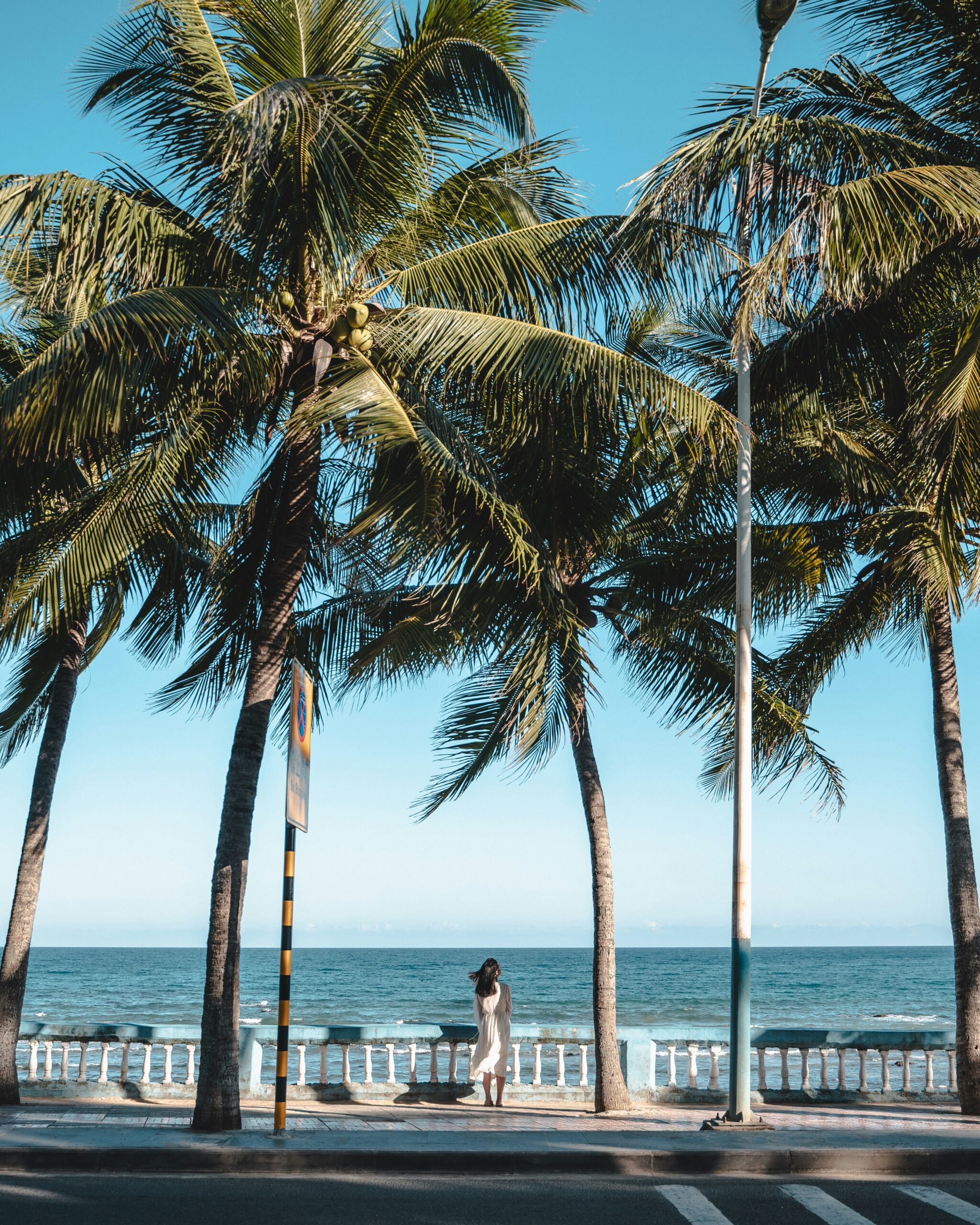 Some palm trees in front of a blue sea and a woman in front of a white terrain